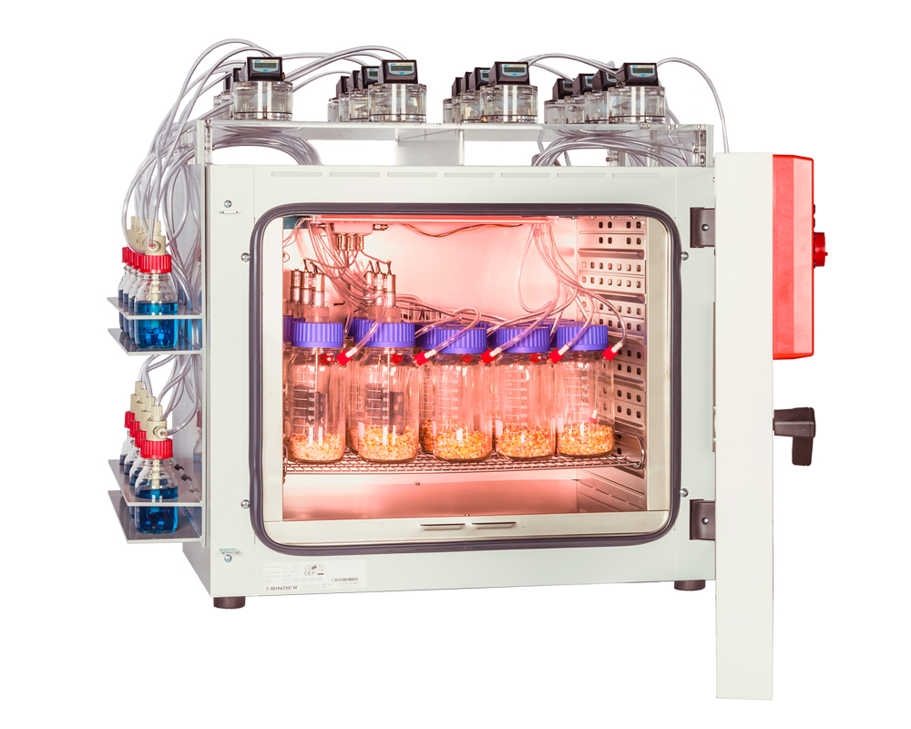 Biogas Fermentation System